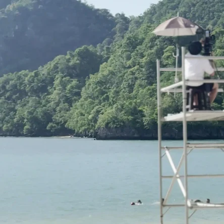 Визовое и юридическое сопровождение